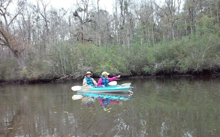 kayak delta tour