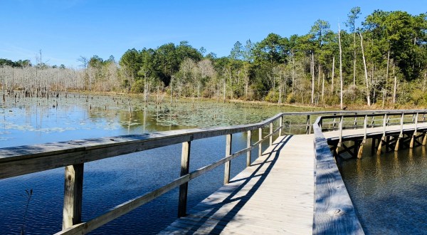 8 Little-Known Trails In Alabama You’ll Want To Take Whenever You’re Feeling Outdoorsy