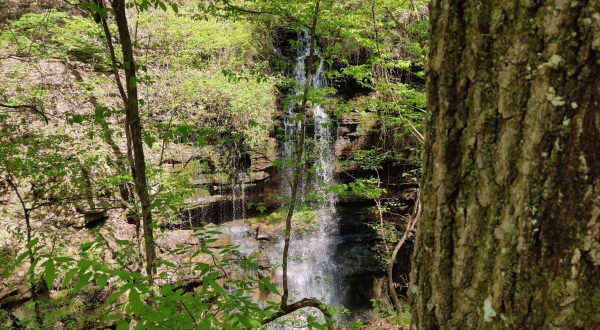 A Short But Beautiful Hike, Lost Sink Trail, Leads To A Little-Known Waterfall In Alabama