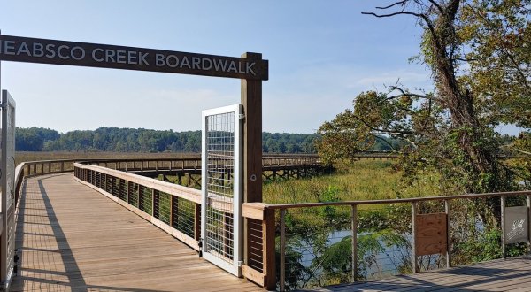 Hiking The Neabsco Creek Boardwalk Trail In Virginia Is Like Entering Another World