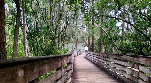 This Easy, 2.6-Mile Hike In Florida Will Lead You Straight To The Shores Of The Beautiful Hammond Lake