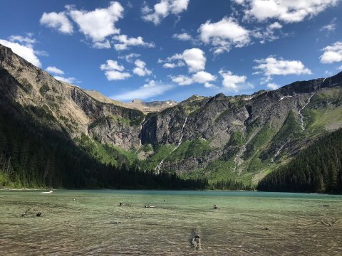 The Natural Beauty of Montana's Avalanche Lake Is Almost Otherworldly