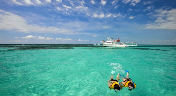 Snorkeling Is An Exciting, Outdoorsy Activity That Anyone Can Do In Florida