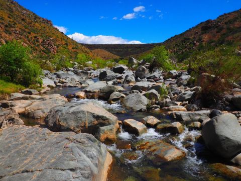 A 1.5-Mile Hiking Trail In Arizona, The Badger Springs Wash Trail Is Full Of Babbling Brooks