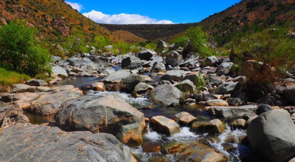 A 1.5-Mile Hiking Trail In Arizona, The Badger Springs Wash Trail Is Full Of Babbling Brooks
