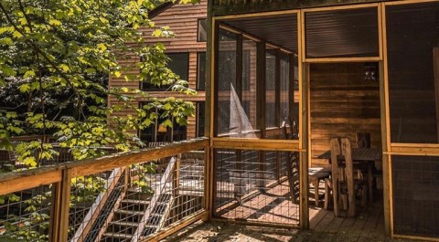 Spend The Night In A Remodeled Forest Cabin In Kentucky Just Steps Away From Fishing And Treetop Adventures