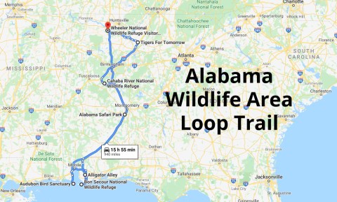 Discover 7 Of Alabama's Best Wildlife Areas While On This Loop Trail