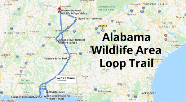 Discover 7 Of Alabama’s Best Wildlife Areas While On This Loop Trail