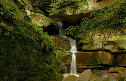 With A Covered Bridge And A Surprise Waterfall, Slippery Rock Gorge Trail Is The Ideal Pennsylvania Summer Hike