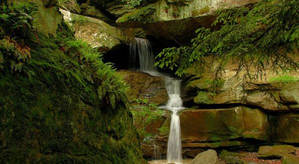 With A Covered Bridge And A Surprise Waterfall, Slippery Rock Gorge Trail Is The Ideal Pennsylvania Summer Hike