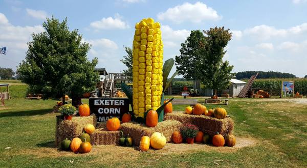 Voted One Of The Best Corn Mazes In The Country, Exeter Corn Maze Is a Must-Visit Fall Destination In Missouri