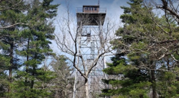 Climb 72 Feet To The Top Of Taum Sauk Lookout Tower In Missouri And You Can See The Ozarks