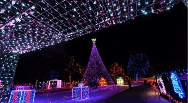 Wildwood Park And Zoo’s Beloved Rotary Winter Wonderland Will Be Returning To Wisconsin