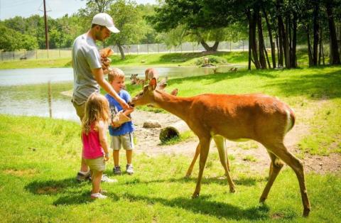 Mingle With Wildlife At Fawn-Doe-Rosa In Wisconsin