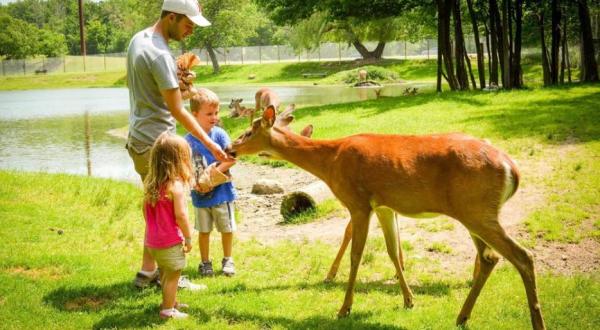 Mingle With Wildlife At Fawn-Doe-Rosa In Wisconsin