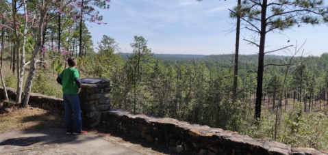 You'll Forget You're In Louisiana On The Longleaf Vista Trail, An Easy Hike That Leads Through An Enchanted Forest