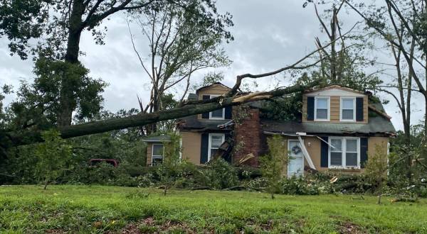 Tropical Storm Isaias Spawned Three Tornadoes In Delaware, Carving A Path Of Destruction In Their Wake