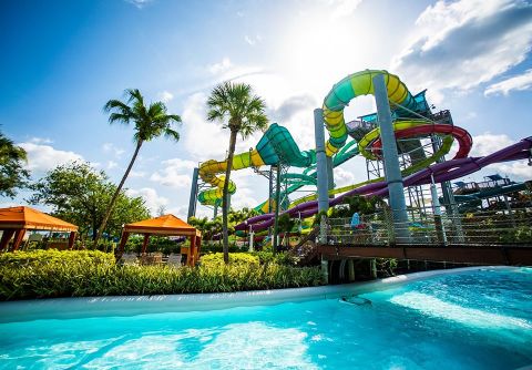 One Of Florida's Coolest Aqua Parks, Adventure Island Will Make You Feel Like A Kid Again