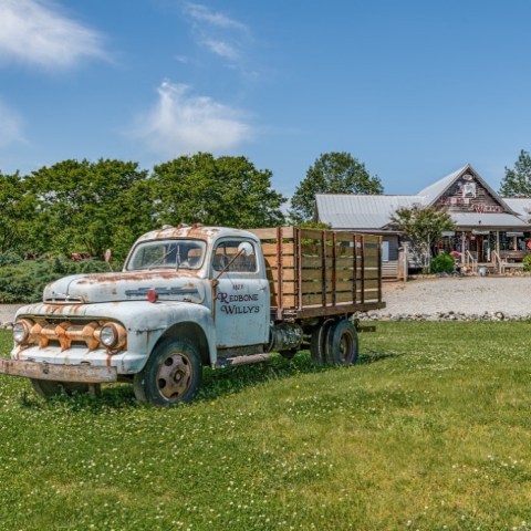 Hit The Road To Redbone Willys Trading Company, An Eclectic General Store In The Middle Of Nowhere In North Carolina