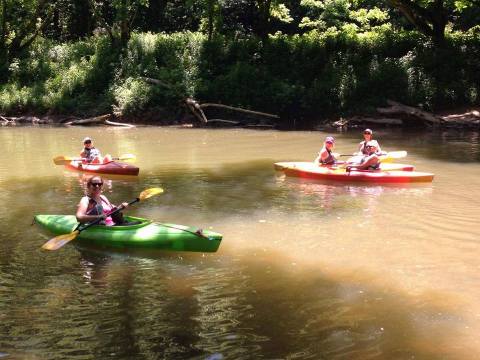 Spend An Afternoon Taking A Delightful Kayak Paddling Tour Through Red River Gorge In Kentucky This Summer