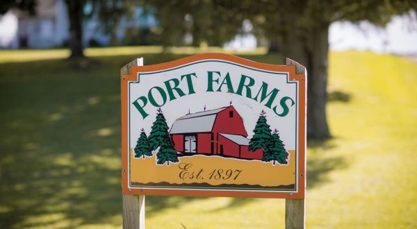 Port Farms Is A Beautiful Fall Farm Hiding In Plain Sight In Pennsylvania That You Need To Visit This Autumn