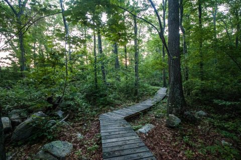 Explore Headwaters Conservation Area In Massachusetts For Beautiful Trails, Stunning Views, And So Much More