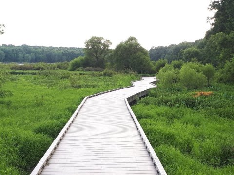 Huntley Meadows Park Is An Oasis Of Boardwalk Trails, Marshy Landscapes, And Wildlife Hiding In Virginia