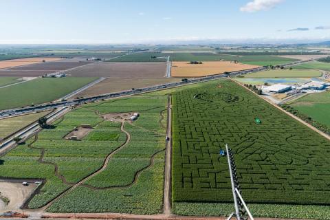 Named One Of The Best Corn Mazes In The Country, Cool Patch Corn Maze Is a Must-Visit Fall Destination In Northern California