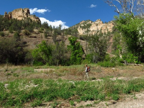 This Picturesque River Hike In The Gila Wilderness Was Just Named One Of The Best In New Mexico