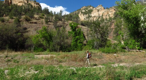 This Picturesque River Hike In The Gila Wilderness Was Just Named One Of The Best In New Mexico