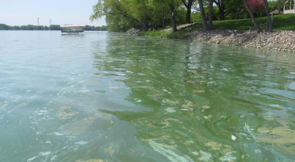 How Algae Blooms On New Jersey’s Lake Hopatcong Will Affect Your Summer Plans