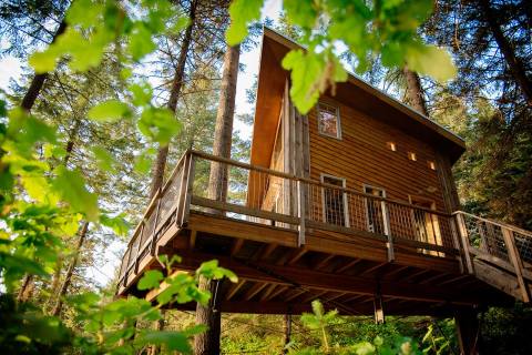 Zip Through The Trees And Enjoy A Treehouse Lunch With Timberline Adventures In Idaho