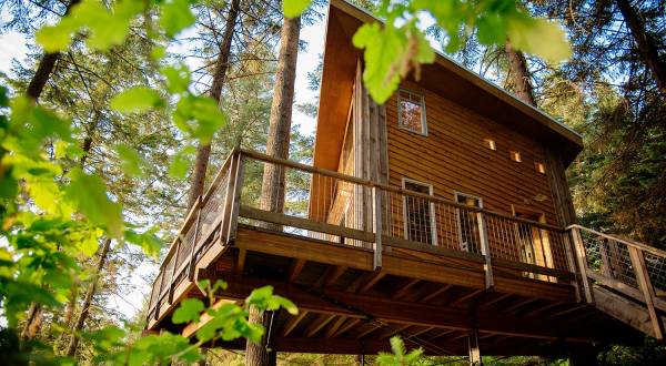 Zip Through The Trees And Enjoy A Treehouse Lunch With Timberline Adventures In Idaho