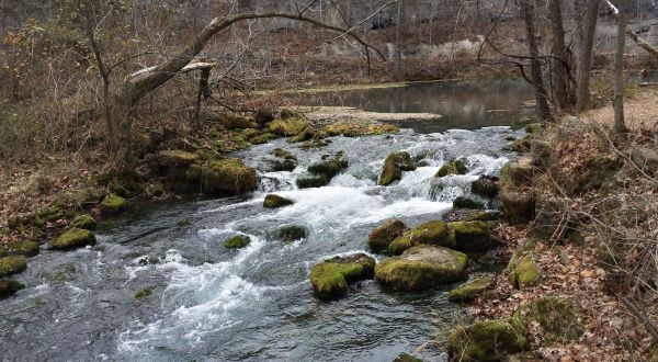 Alley Spring Overlook Trail Is A Beginner-Friendly Waterfall Trail In Missouri That’s Great For A Family Hike