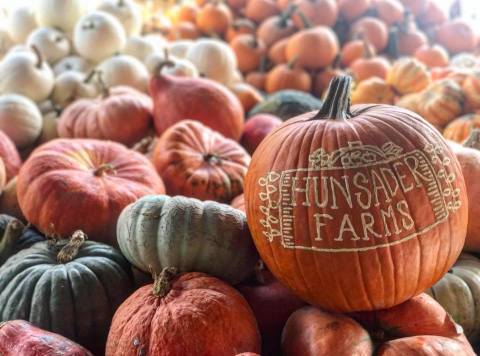 Hunsader Farms Might Just Be The Most Fun-Filled Pumpkin Farm In All Of Florida