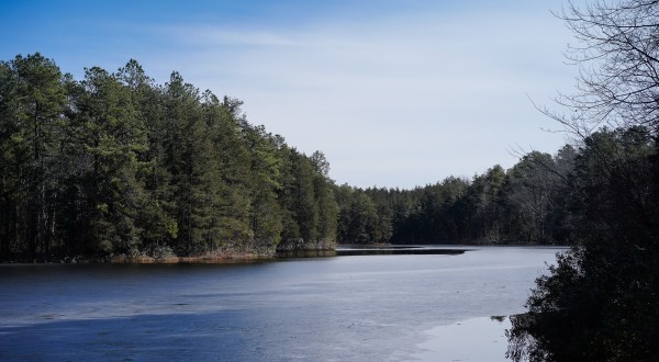 One Of New Jersey’s Least Visited State Parks, Brendan T. Byrne State Forest Offers Seclusion And Serenity