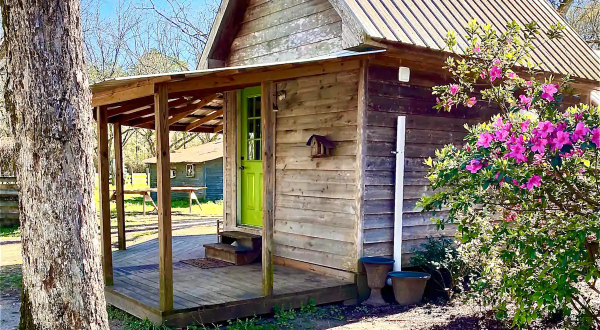 A Charming Little Nook Set In A Pecan Orchard, The Tiny House At Fulmer’s Farmstead In Mississippi Offers A Getaway Like No Other