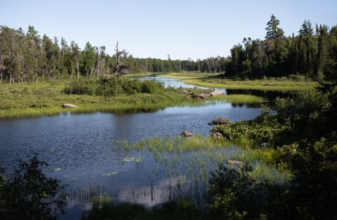 Vast Woods Await At Beltrami Island State Forest, Where You'll Find The Headwaters Of Five Minnesota Rivers