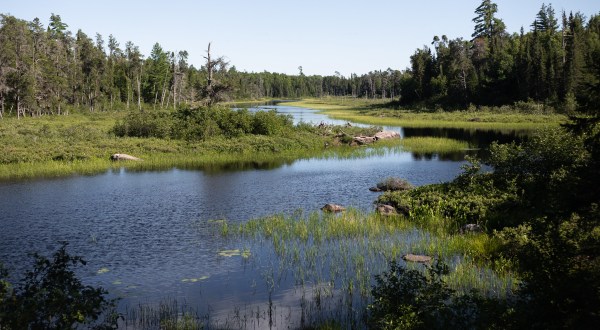 Vast Woods Await At Beltrami Island State Forest, Where You’ll Find The Headwaters Of Five Minnesota Rivers