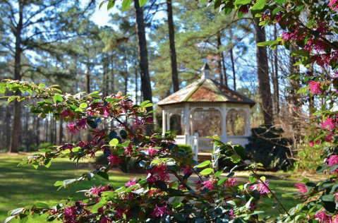Get Lost In Cape Fear, An Impressive Garden That's Practically A Labyrinth In North Carolina