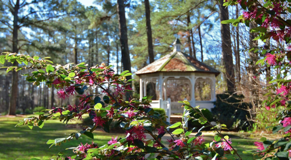 Get Lost In Cape Fear, An Impressive Garden That’s Practically A Labyrinth In North Carolina