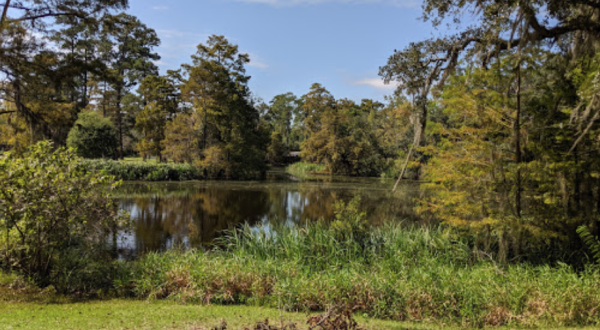 Enjoy Over 100 Acres Of Natural Beauty At Camp Salmen Nature Park Near New Orleans