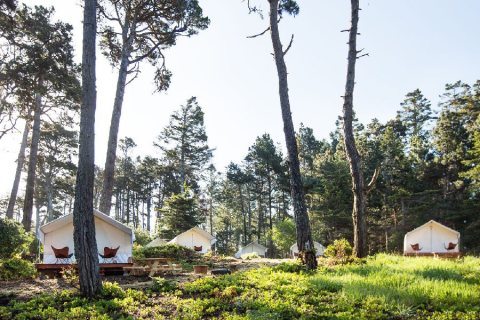 Sleep Under The Trees In A Safari Glamping Tent At Mendocino Grove In Northern California