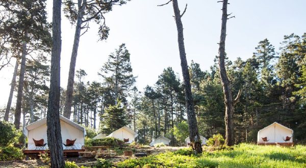 Sleep Under The Trees In A Safari Glamping Tent At Mendocino Grove In Northern California