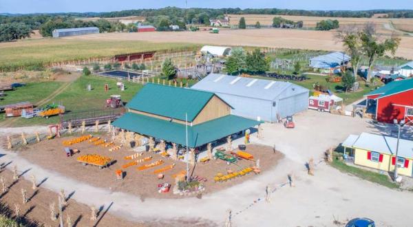These 10 Awesome Farms And Orchards Are Hiding In Wisconsin That You Need To Visit This Fall