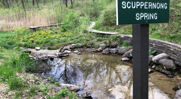 With Natural Springs And Surprise Ruins, The Scuppernong Springs Nature Loop Is The Ideal Wisconsin Summer Hike