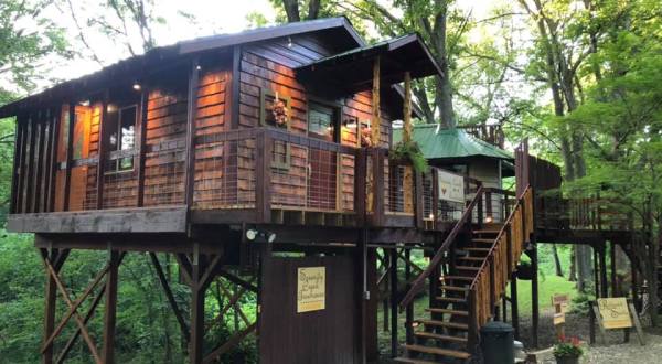 Live Out A Fantasy Of Sleeping In A Cabin In The Trees At Kansas’s Hidden Valley Wilderness Retreat