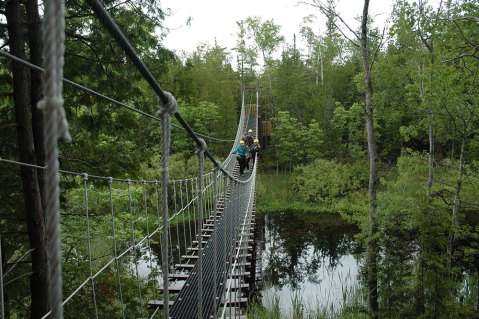 One Of The Longest In Wisconsin, The Treetop Canopy Tour At Lakeshore Adventures Offers 2,000’ Of Thrills