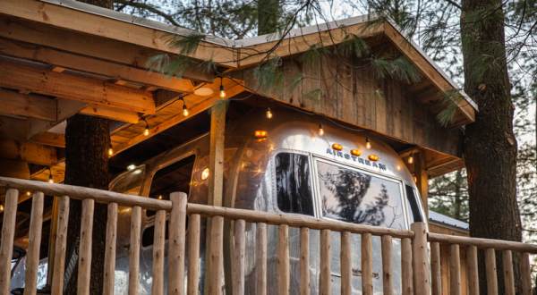 Take A Trip And Stay Overnight At This Spectacularly Unconventional Treehouse Not Too Far From Cleveland