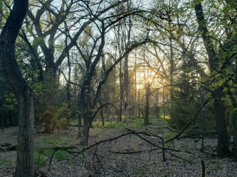 Sheridan Wildlife Area Is A Hidden Spot In Kansas Made For A Great Day Outdoors